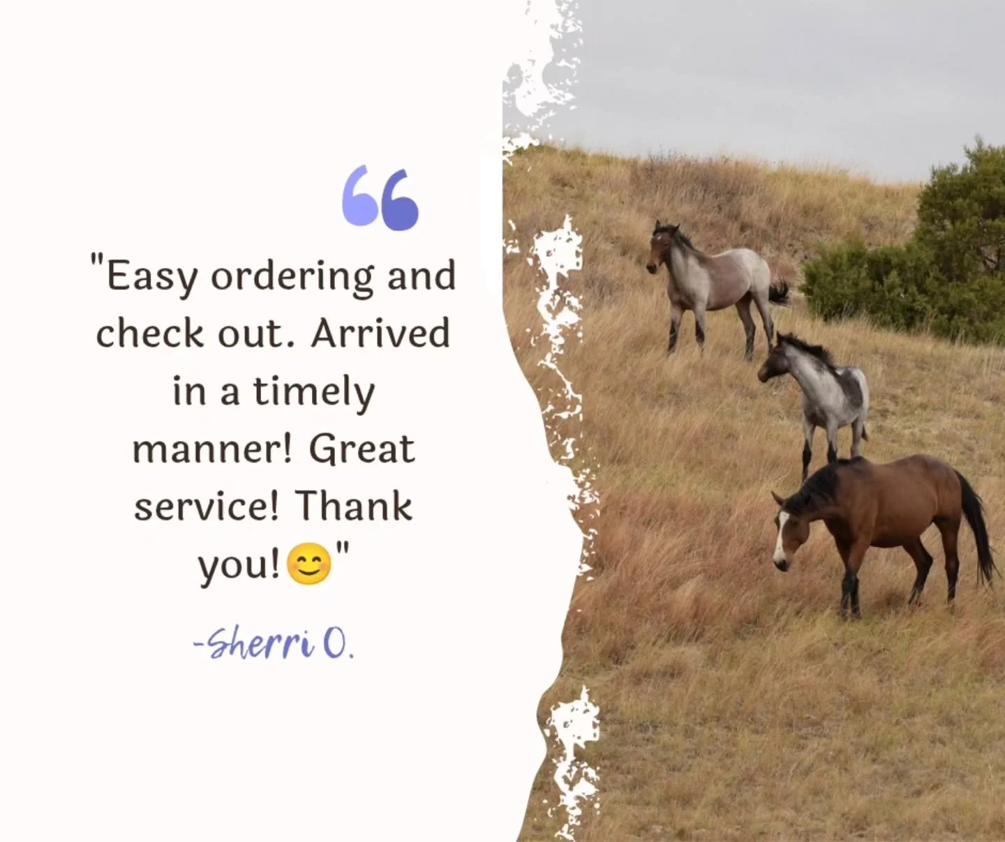 There's nothing more annoying than trying to order something and you have to go through 37 steps, can't find the cart, etc. When making our website, I wanted to make it easy to navigate because that's how I like to shop too! 

Thank you for the revie