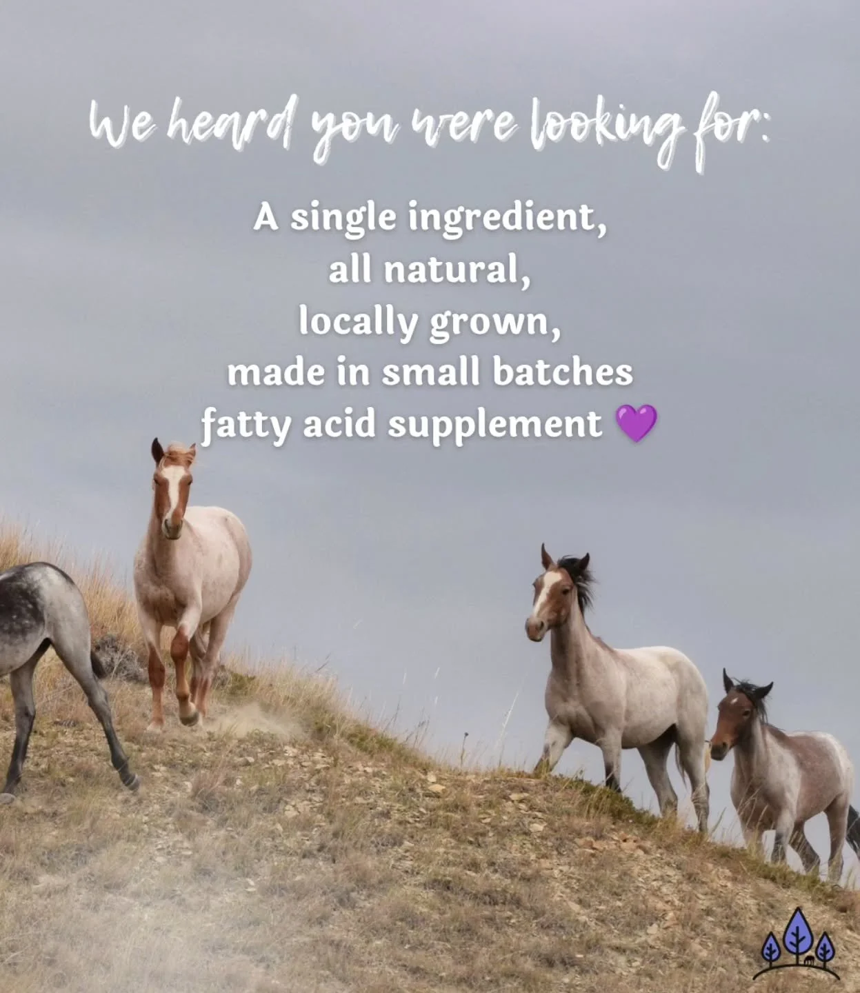 Key features about our products: ⬇️

Our products are 𝗹𝗼𝗰𝗮𝗹 - grown right here in our beautiful state of North Dakota. No importing products from anywhere when ND is one of the top growers of flax.

They are also 𝐹𝑅𝐸𝑆𝐻, non-GMO and all natu