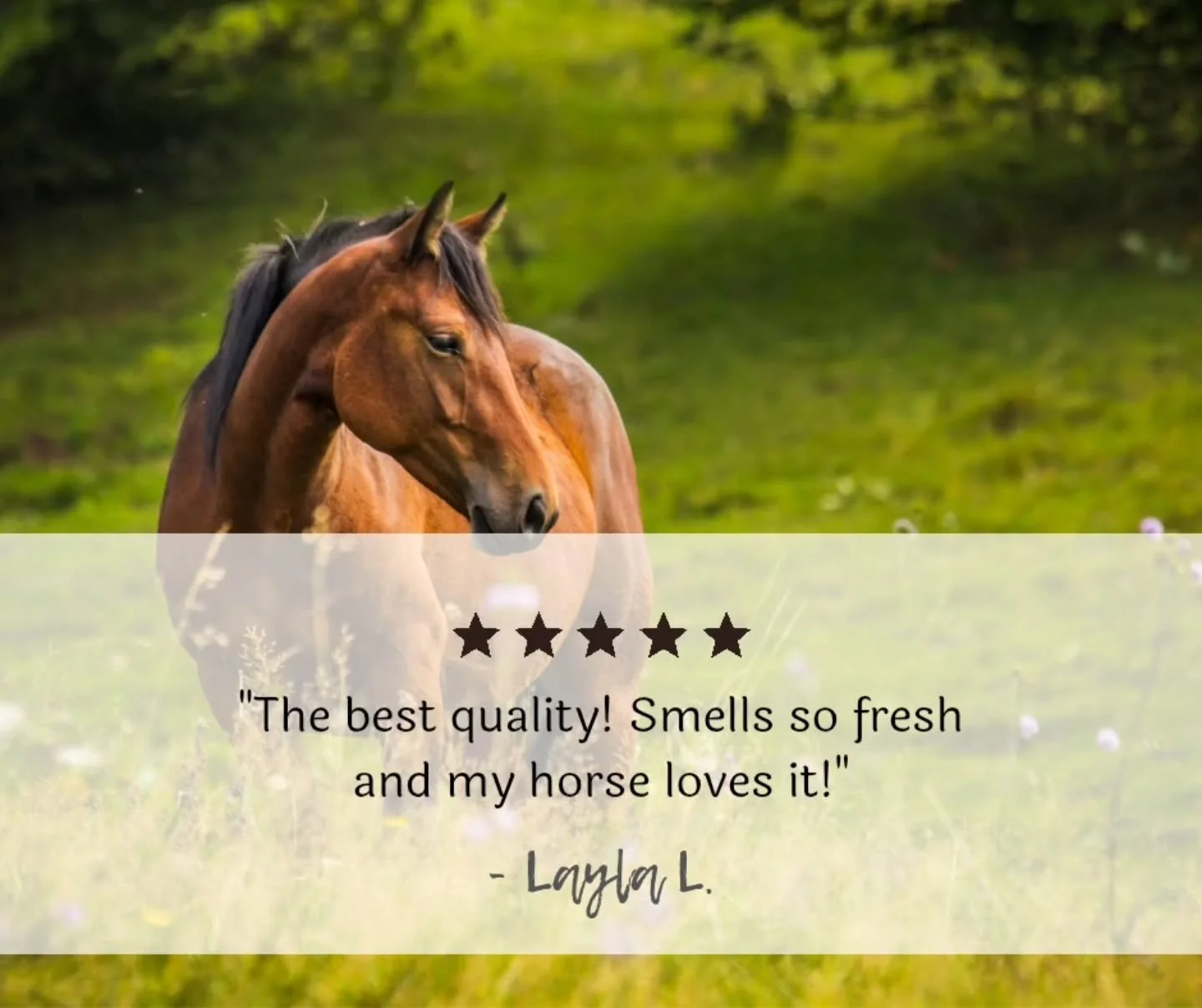 Thank you Layla 🥰 We appreciate the kind words