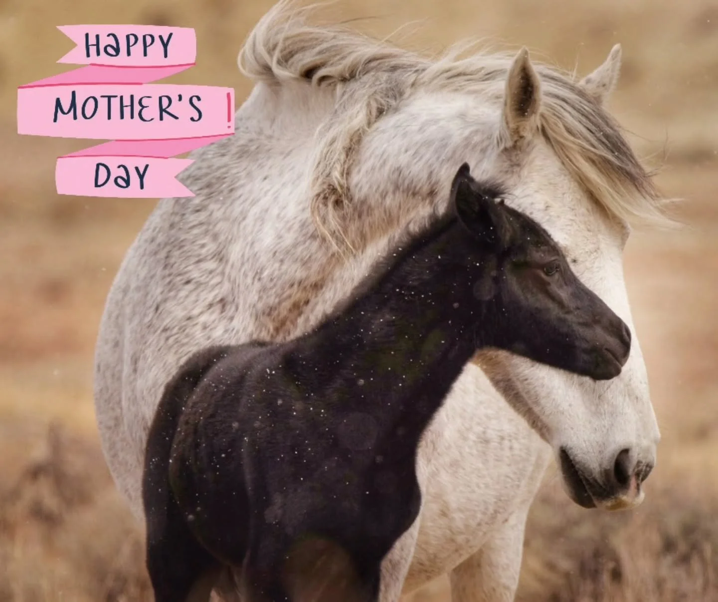 Happy Mother's Day to all who fill the role in any way 💜 We hope you have a fantastic day!