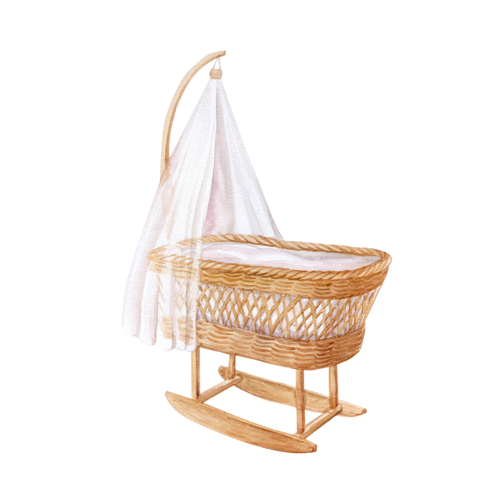 Mosquito Net