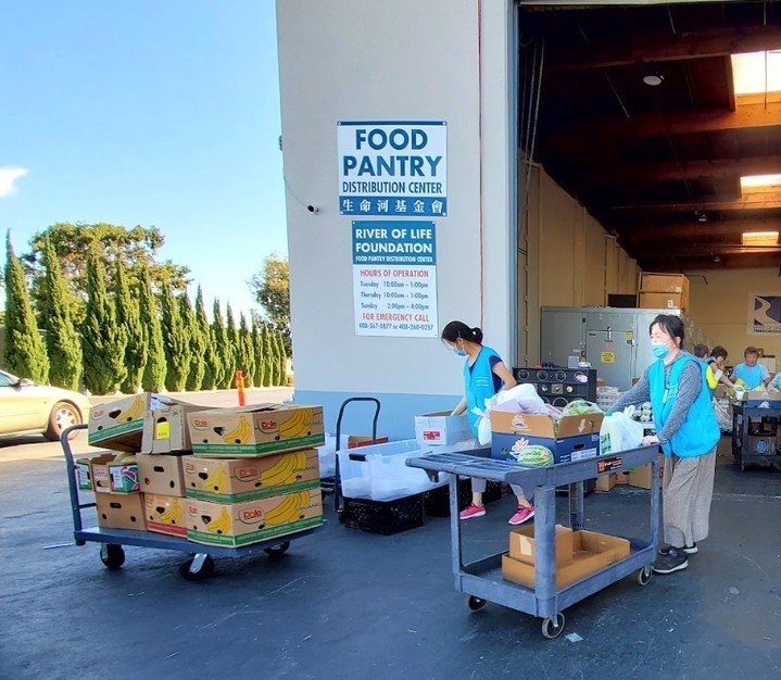 Come and visit our food pantry 🤗 Every meal distributed, every smile shared, reflects the incredible impact of this vital resource!

👉Become a Volunteer: https://loom.ly/CcrEhw0

#volunteer #donate #volunteering #nonprofit #charity #community #give