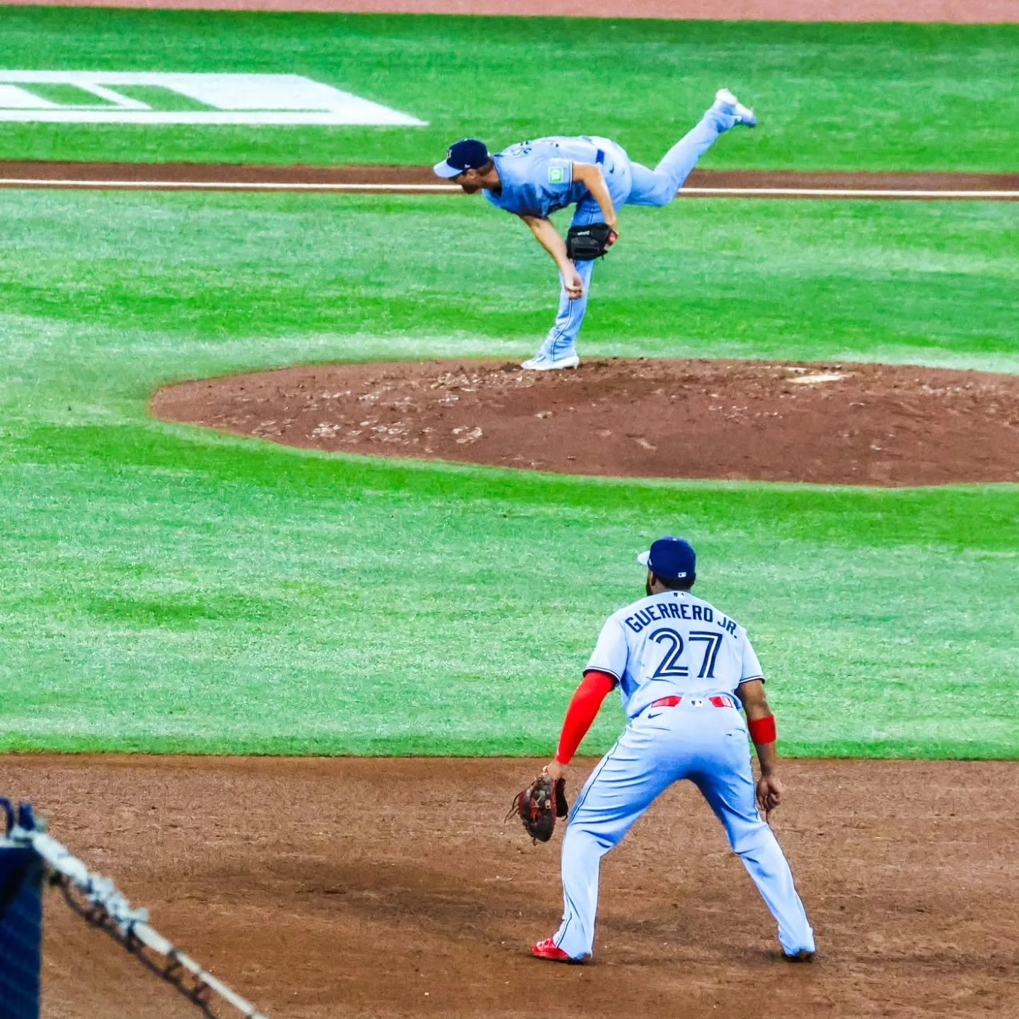 These birds are very different than the ones in my backyard.