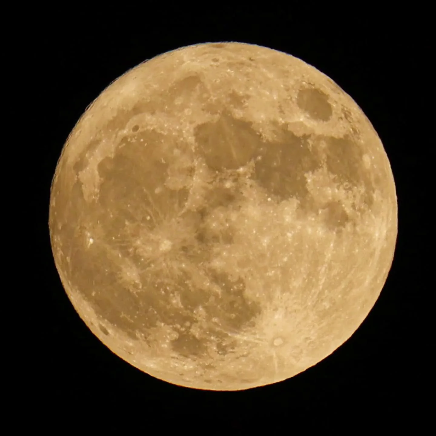 This people who name types of moon lied to me, she's not blue at all! (But still pretty)