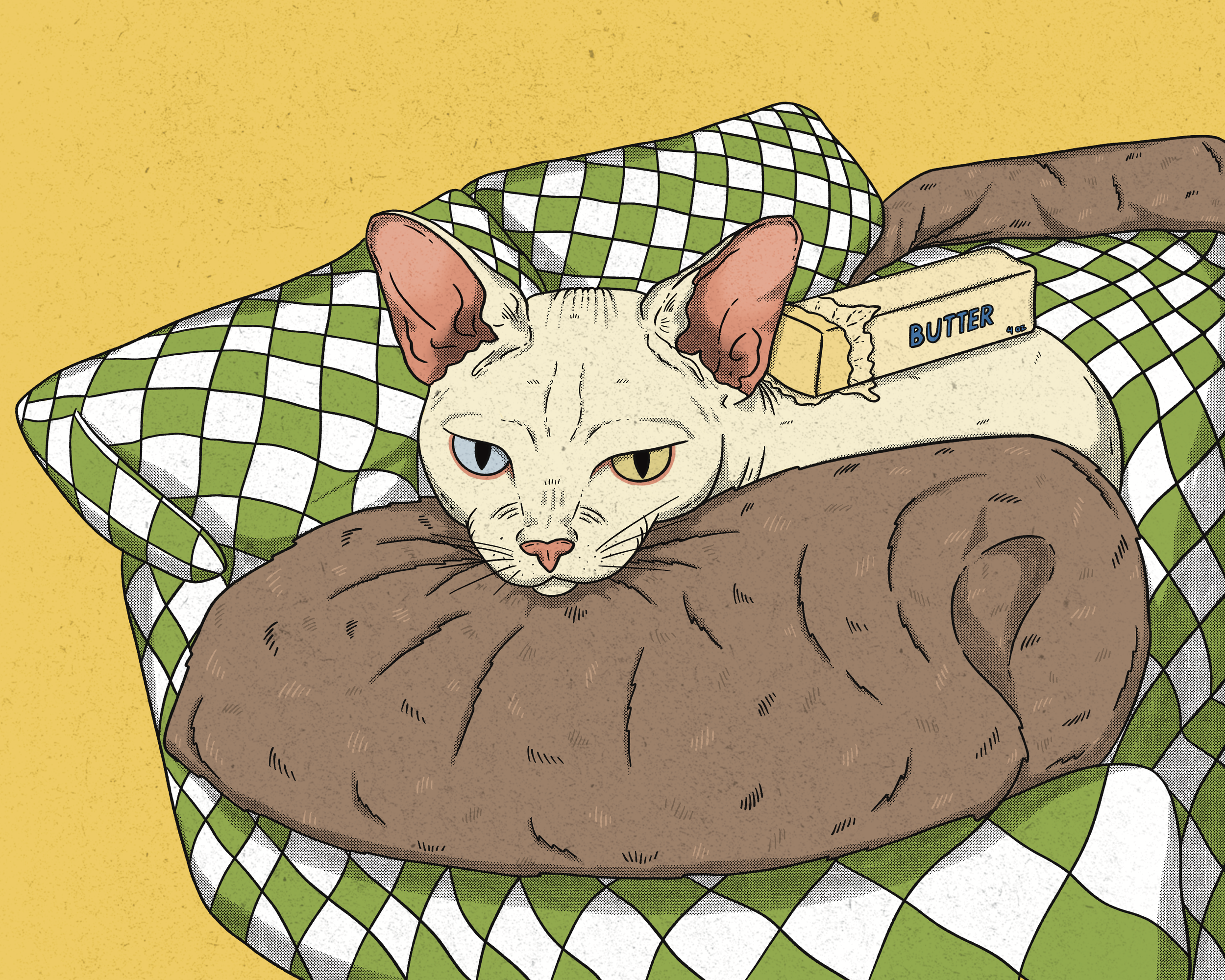 butter the kitty.png