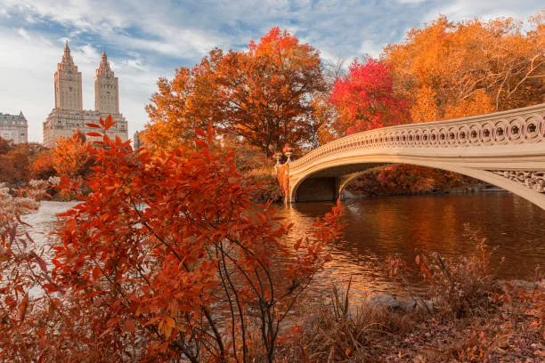 Fall in NYC