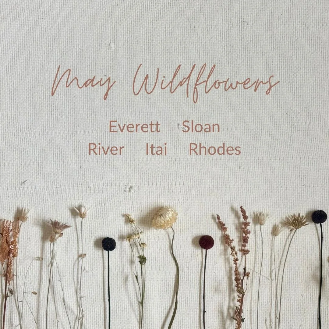 Our sweet little wildflowers of May 2025🌼 

#wildflowerbabies #wildflowers #maybabies #doulasupport