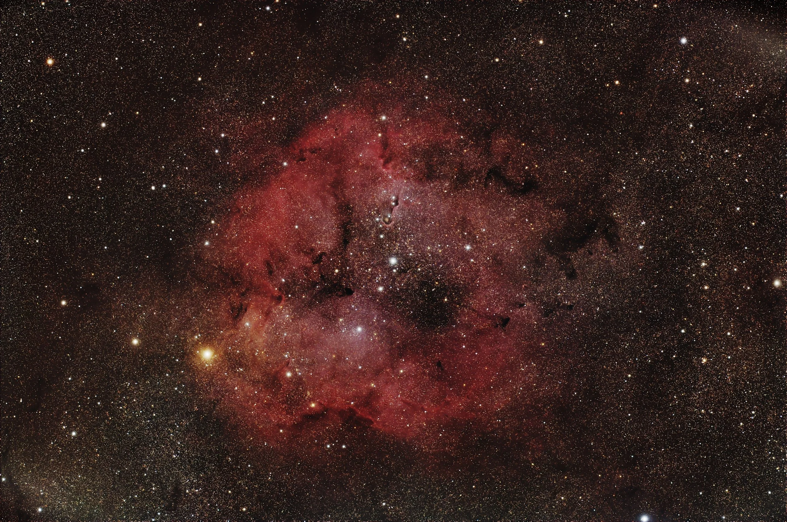 Elephant's Trunk Nebula (IC 1396)