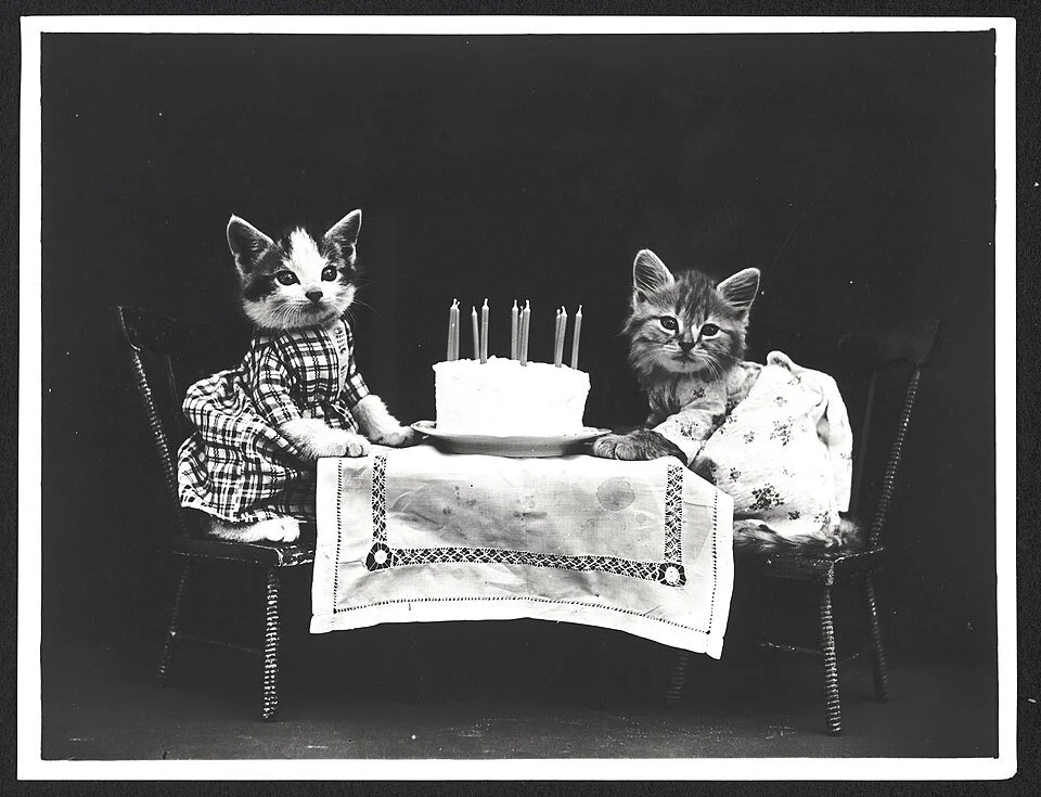 B&W photo of two kittens in dresses sitting at a table with a birthday cake