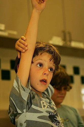 Photo of a young boy raising his hand in class