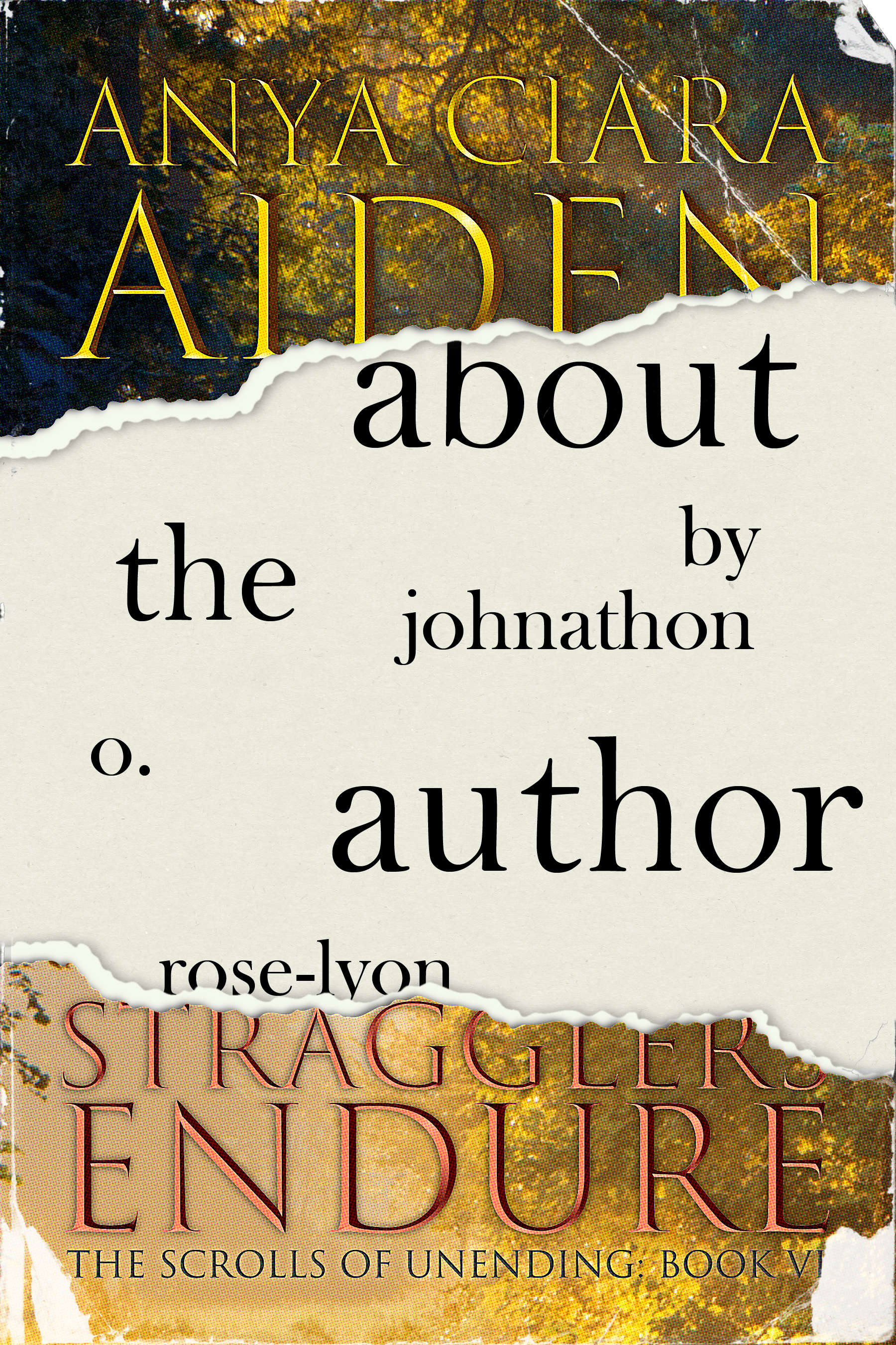 ABOUT THE AUTHOR cover V2.png