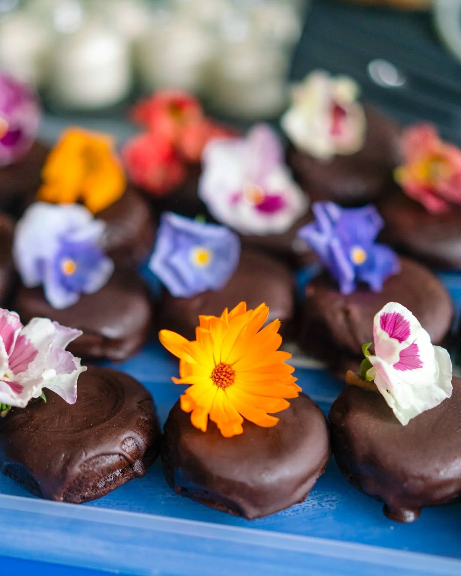 Vegan Afternoon Tea @The Feminist Bookshop, Brighton