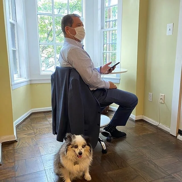 Nice to see my DC friends again! 🐶