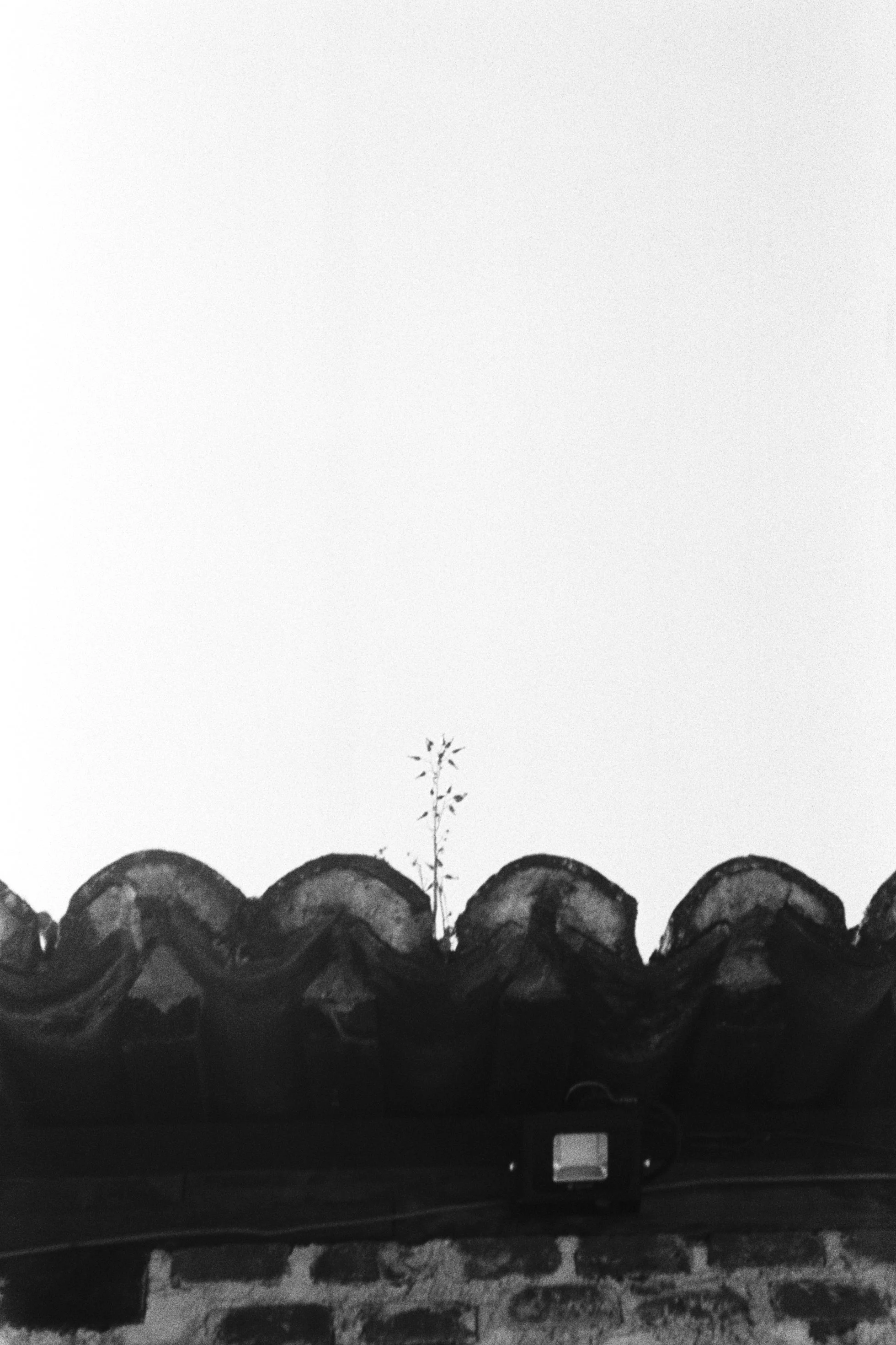 AAA014A.JPG