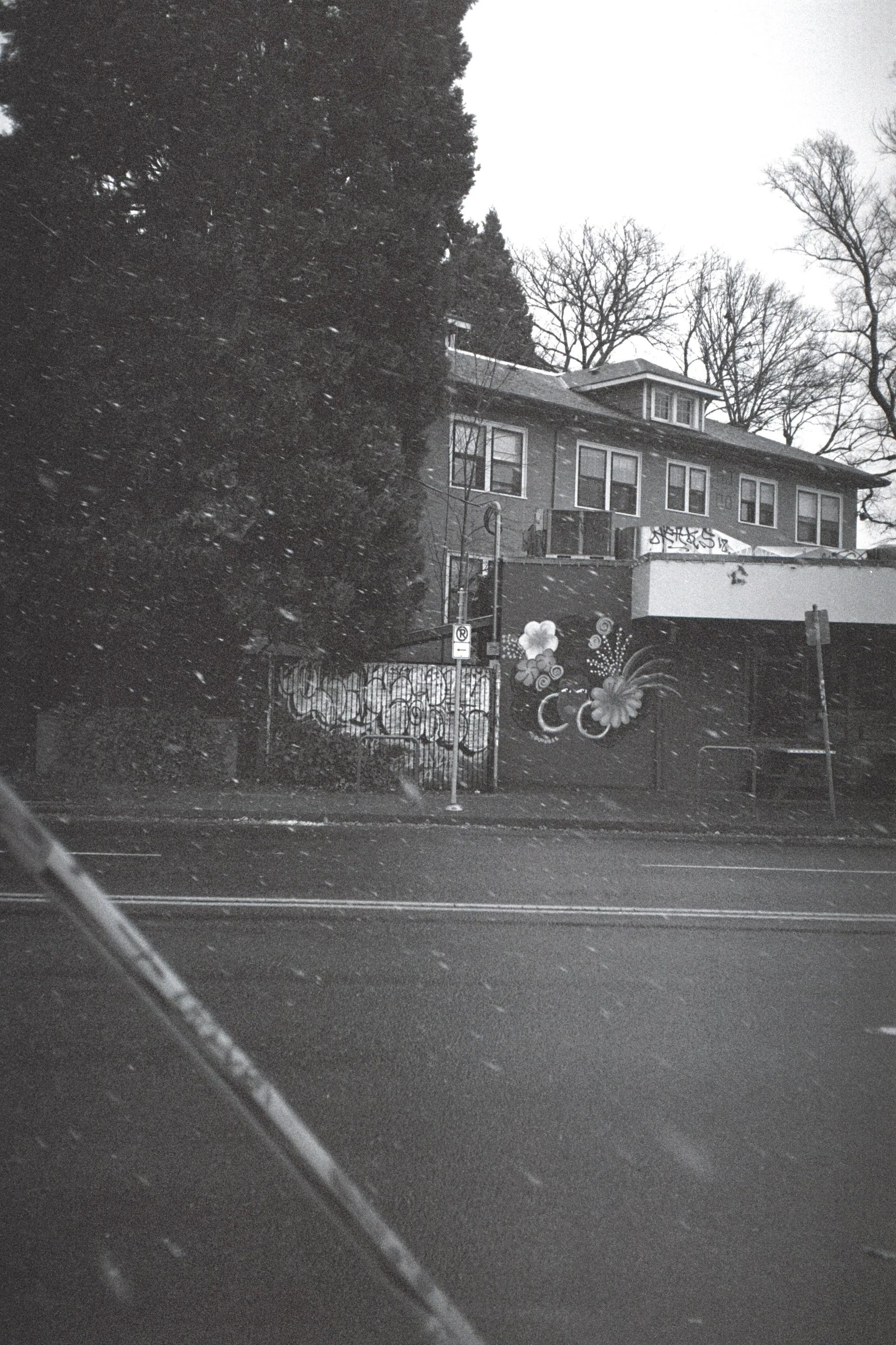 AAA025 2.JPG