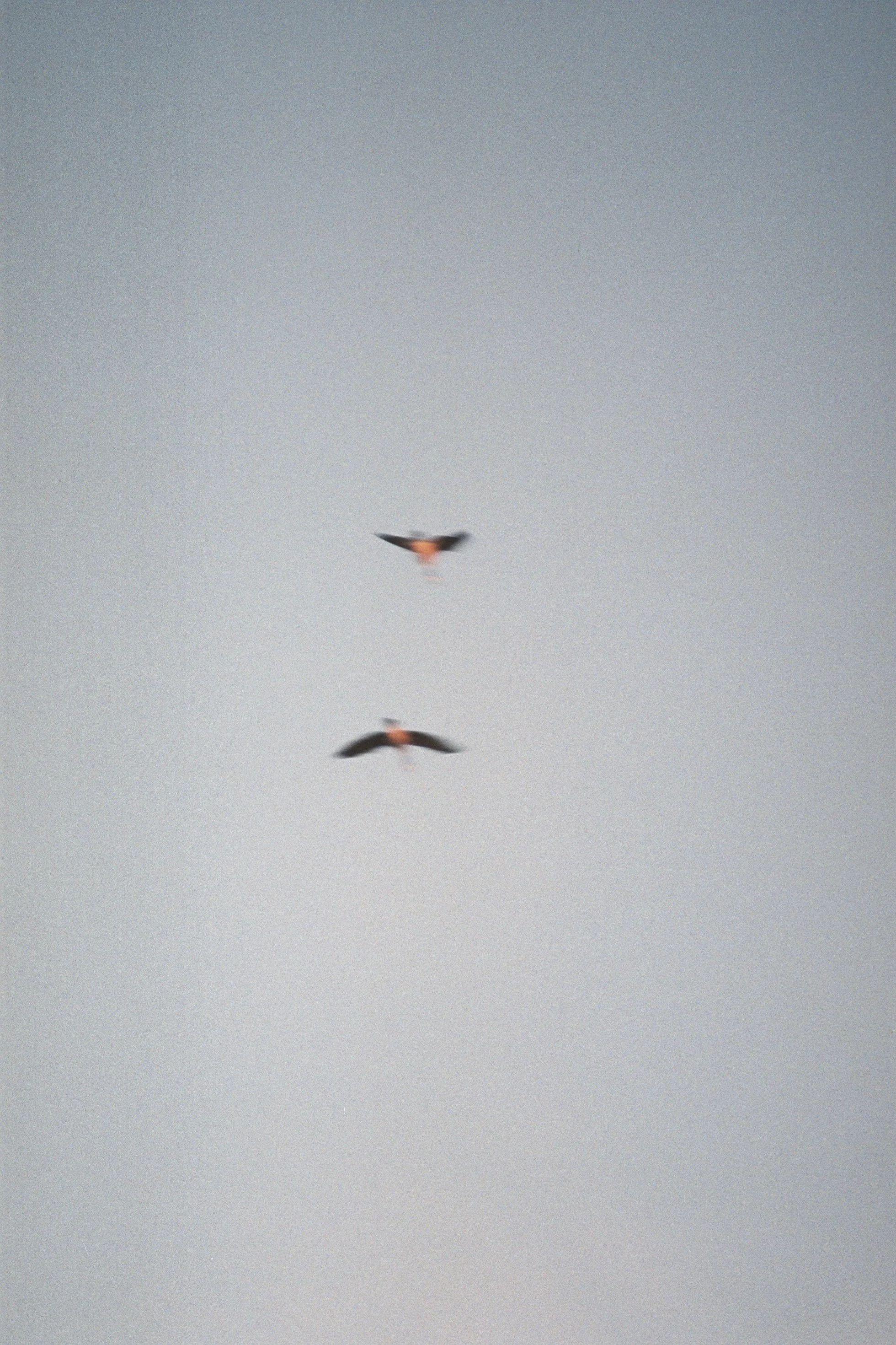 AA022A 2.jpg