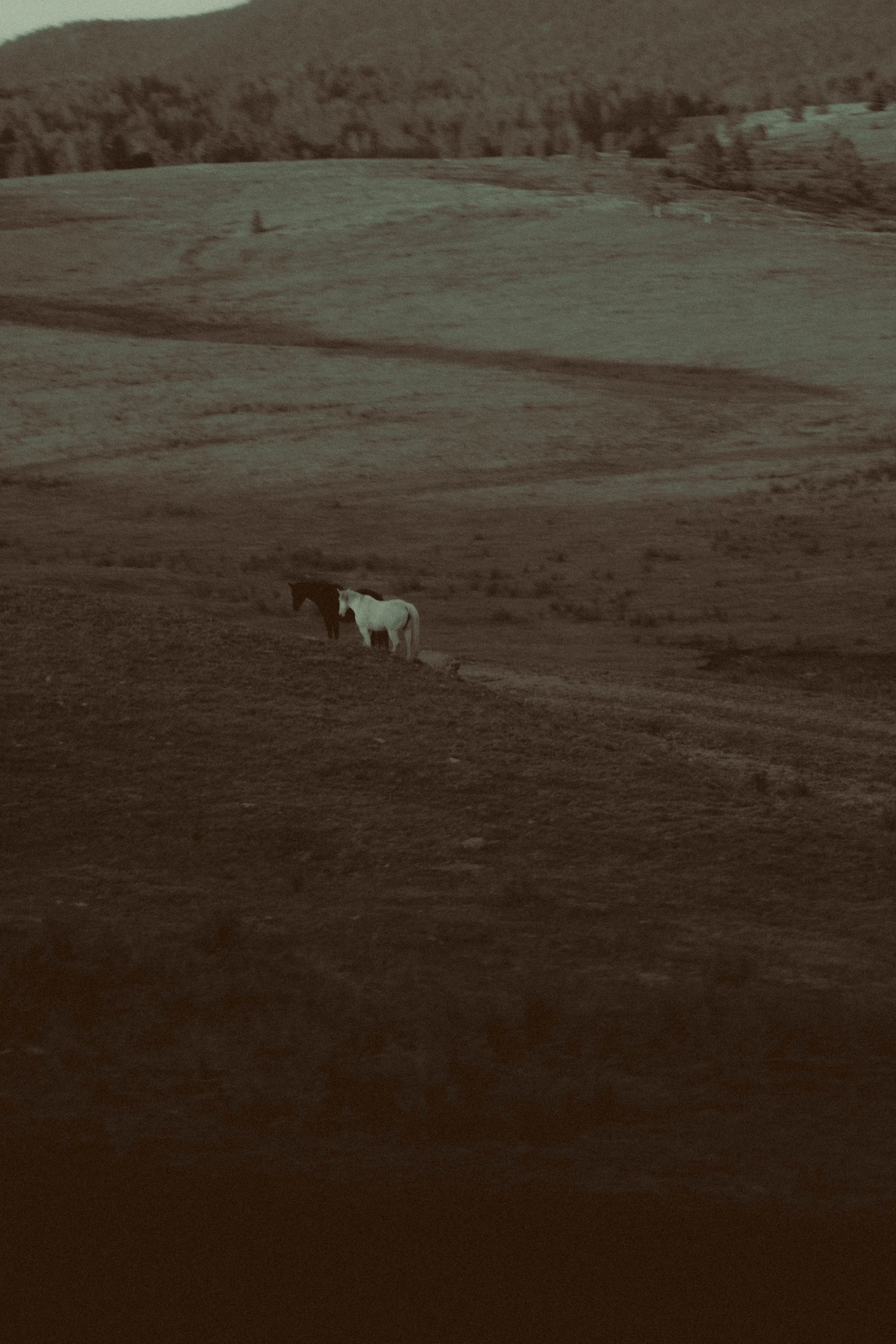 DSC01089.JPG