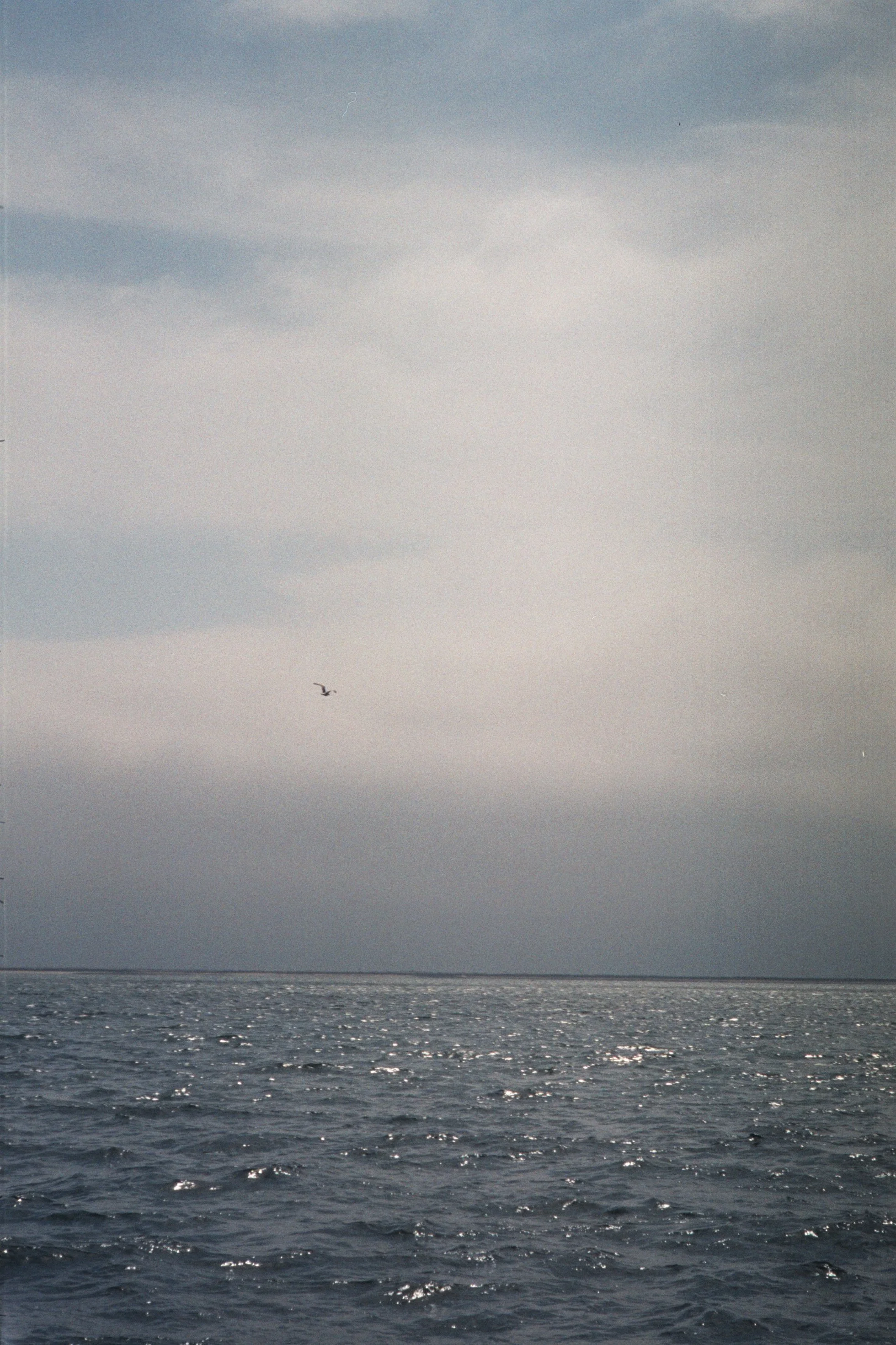 AAA019.JPG