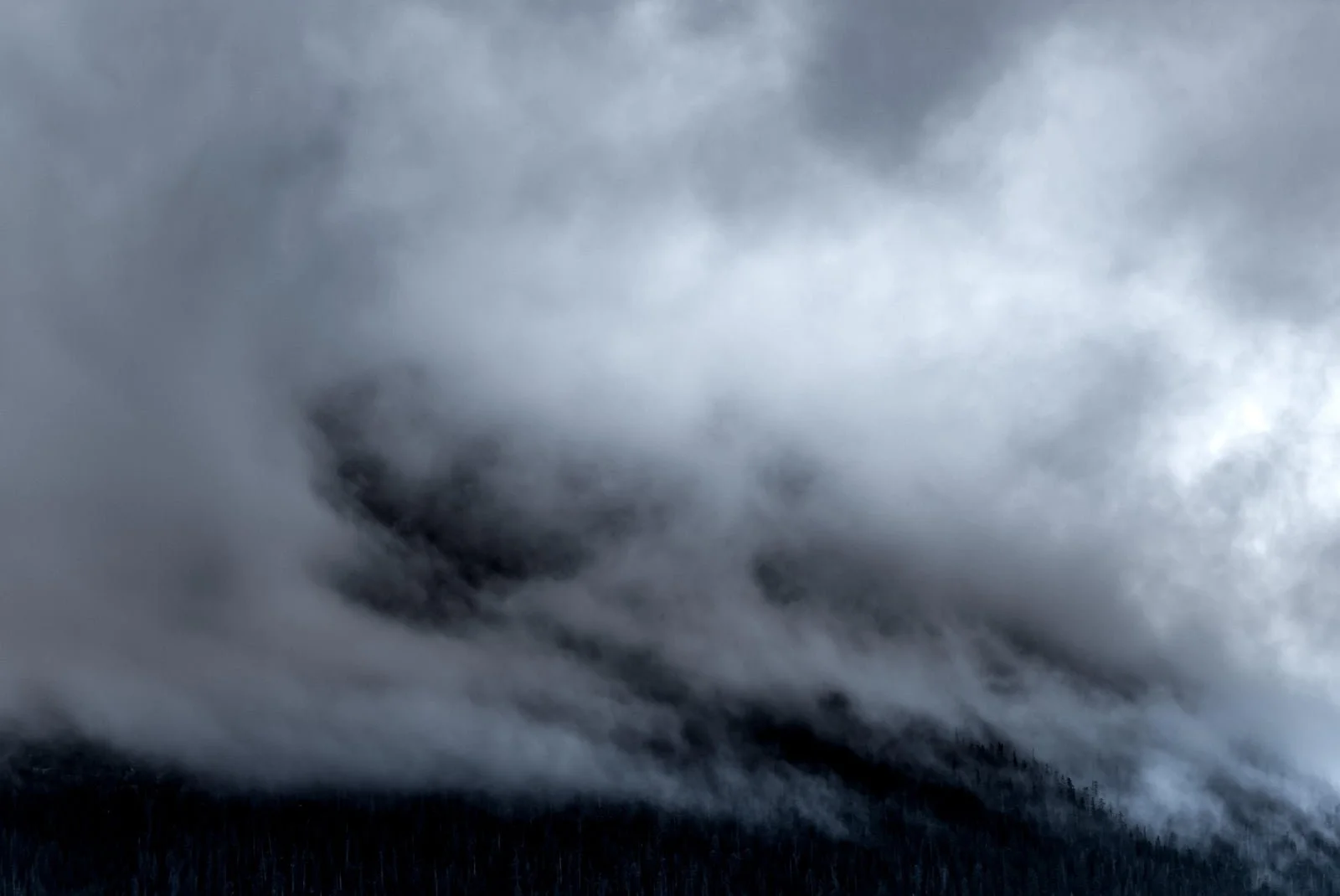 True Mental Clarity: Fight Fog
