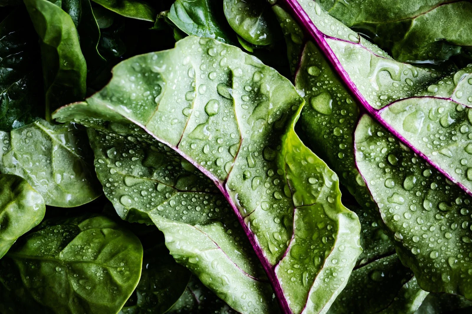 Alpha-Lipoic Acid and Liver Detoxification