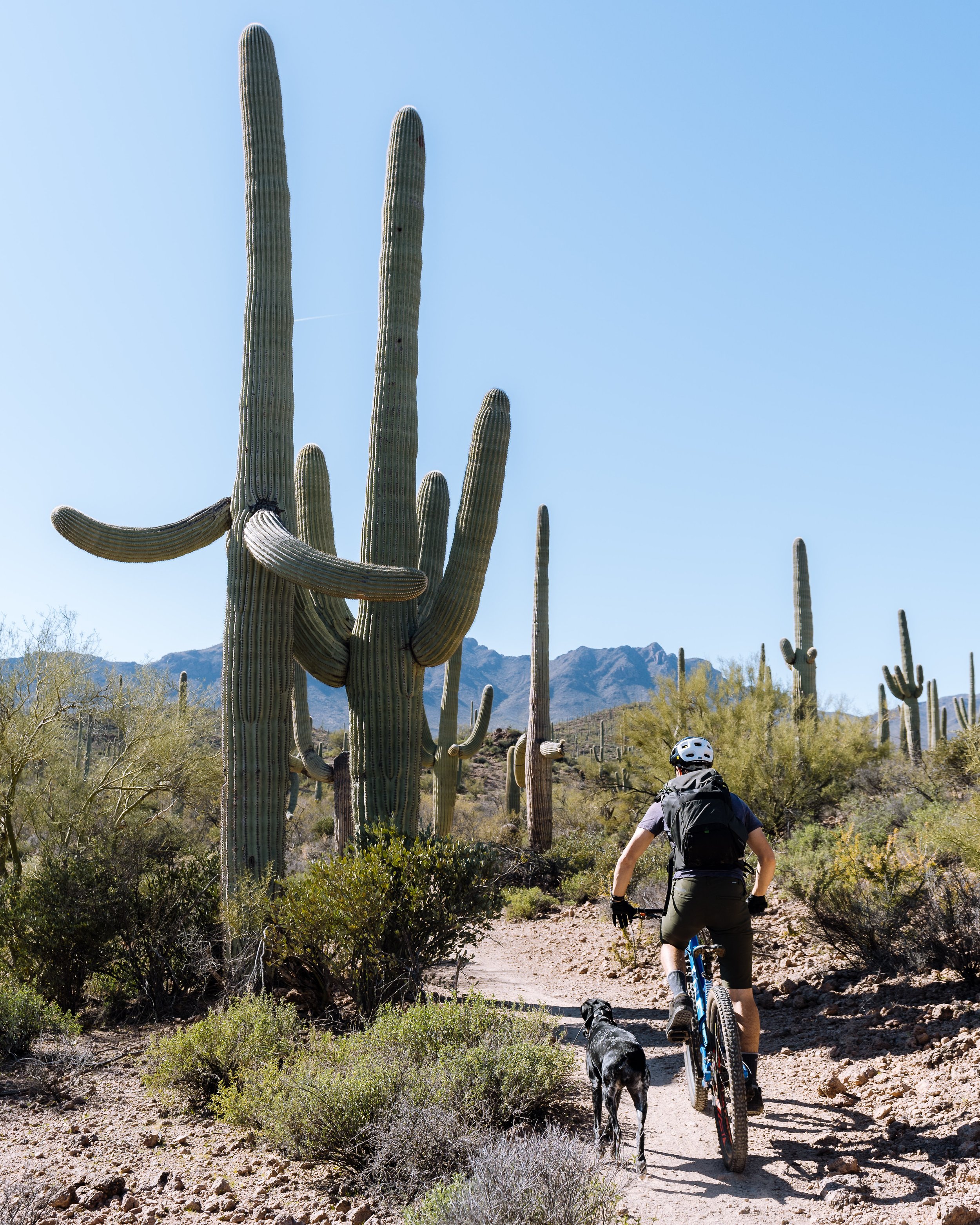Top 10 Mountain Bike Destinations in the US