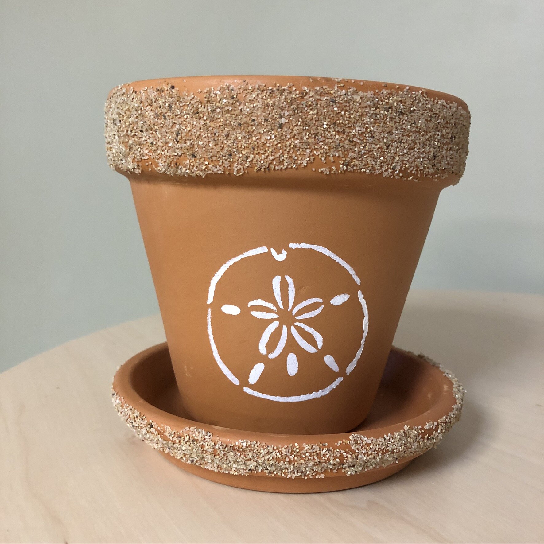Terra Cotta Planter with Hand Painted Sand Dollar and Sand Accents
