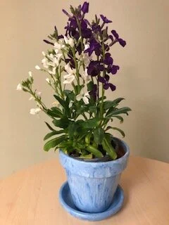 Terra Cotta Planter with Blue Marbling