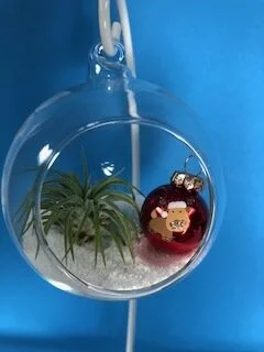 Round Glass Terrarium (sm) with Tillandsia Air Plant, White Sand and Christmas Ornament