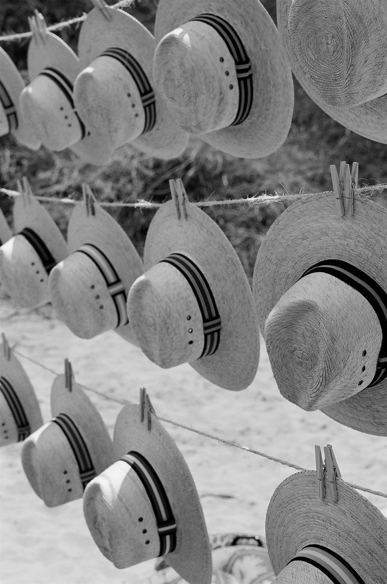 SD_Wed_Beachday20.jpg