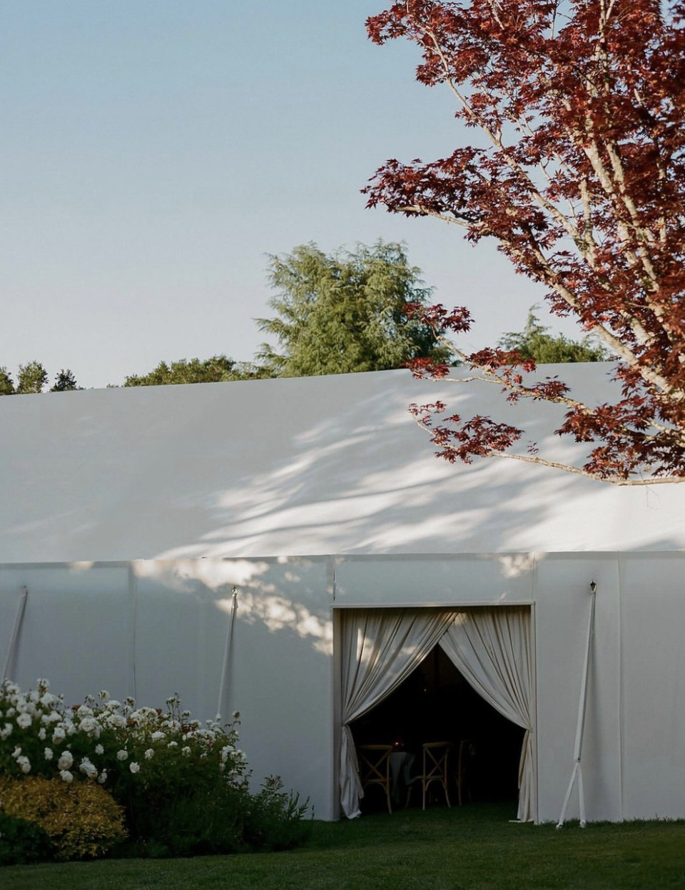 Screen Shot 2025-05-26 at 3.51.36 PM.png