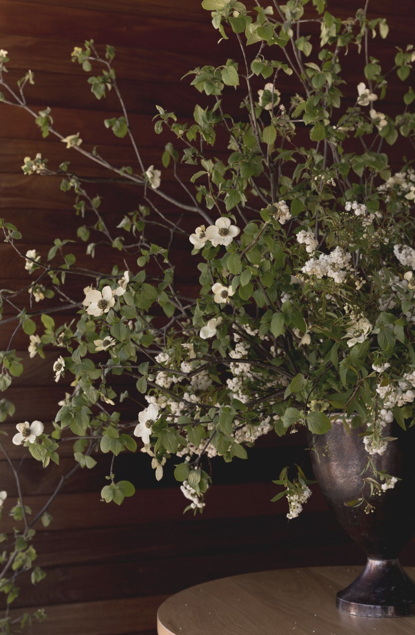 Screen Shot 2025-05-26 at 7.36.26 PM.png