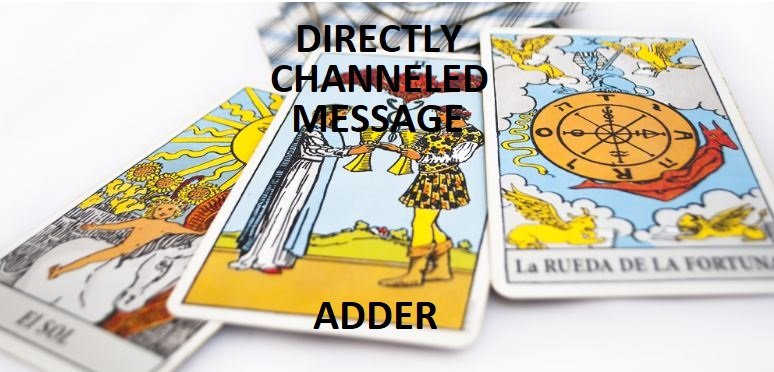 DIRECTLY CHANNELED LOVE MESSAGE FROM YOUR PERSON ADDER - PRIVATE INTUITIVE TAROT & ORACLE CARD LOVE READING YOUTUBE VIDEO PLATFORM