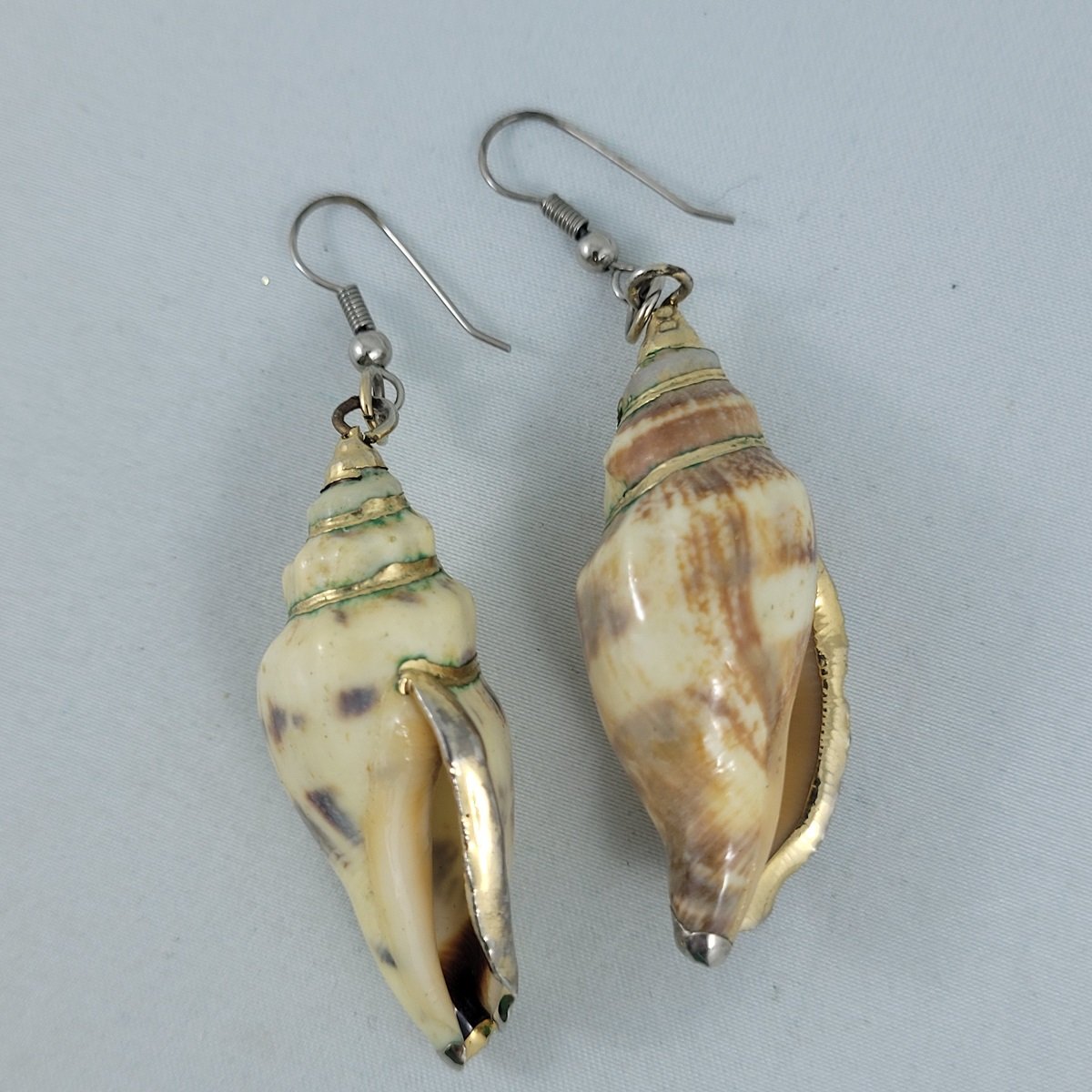 Conch Shell Seashell Gold Trim 2.75 Inch Drop Pierced Earrings