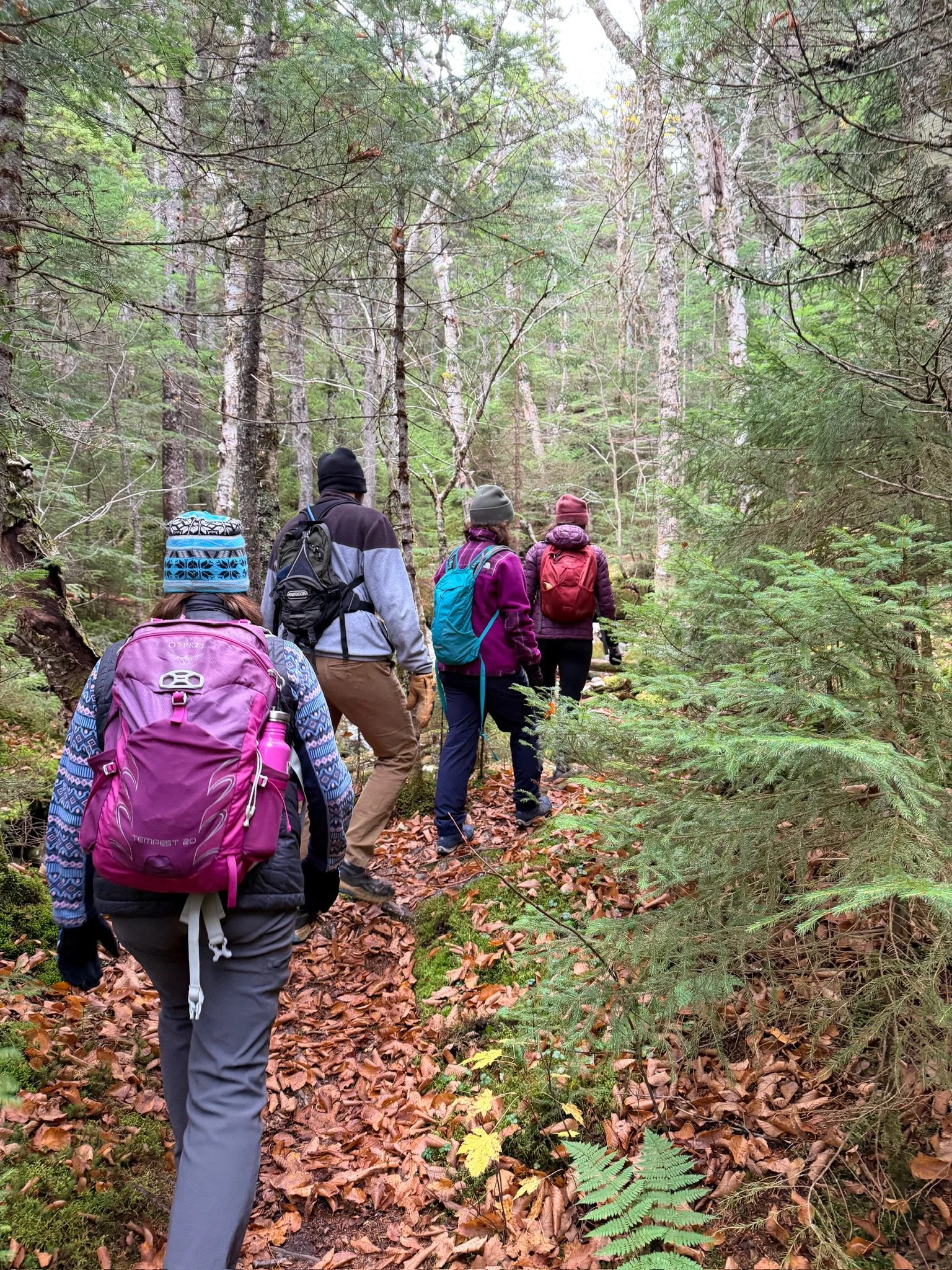 Spring Conditioning: From Ski to Trail
