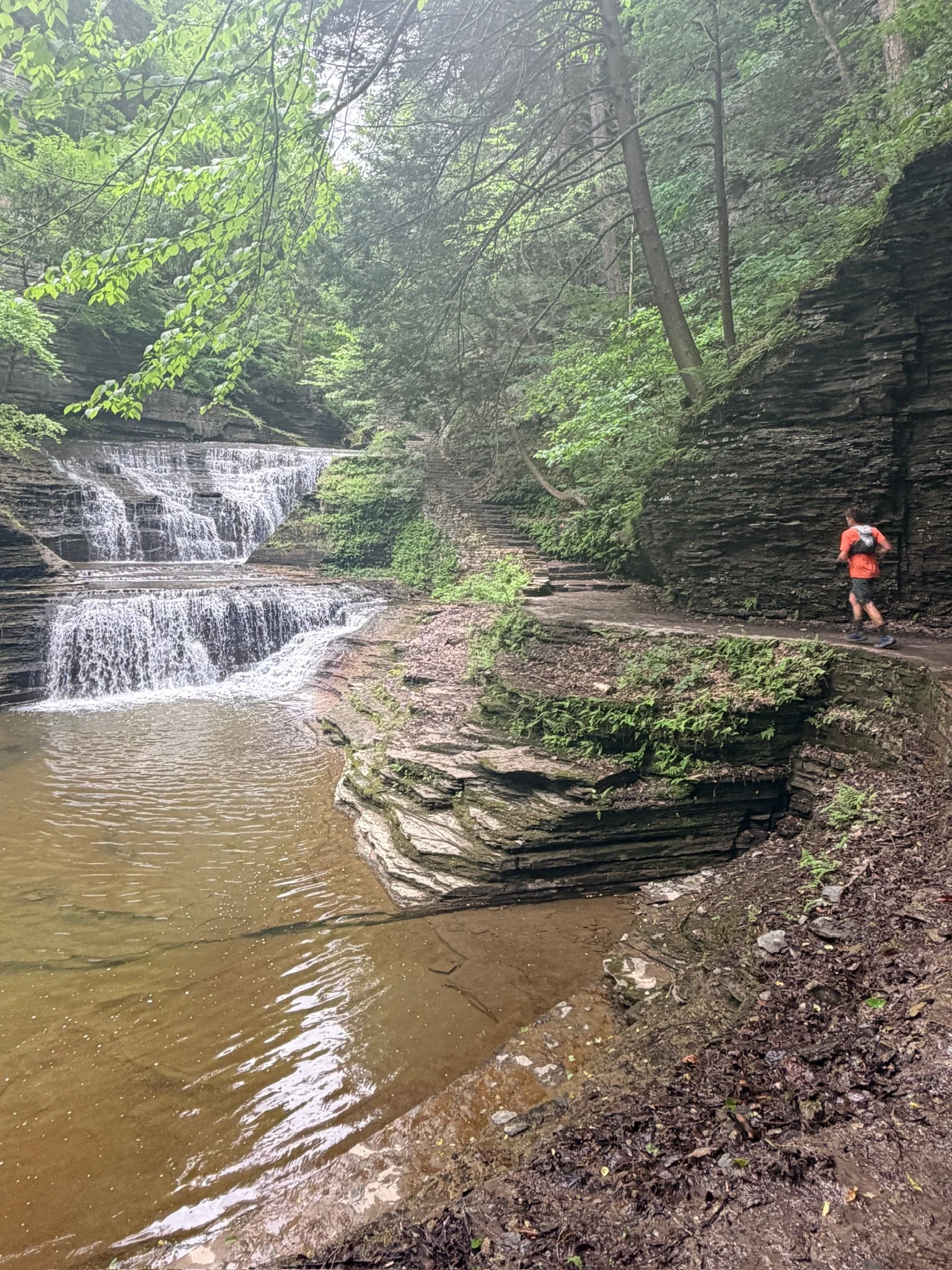 Building Endurance for Trail Season: A Strength-Based Approach