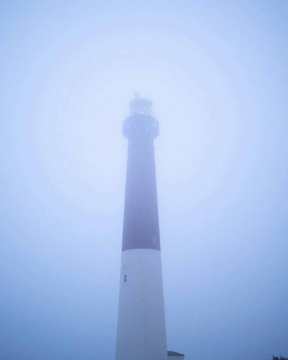 The Tempest, A Virtual Performance