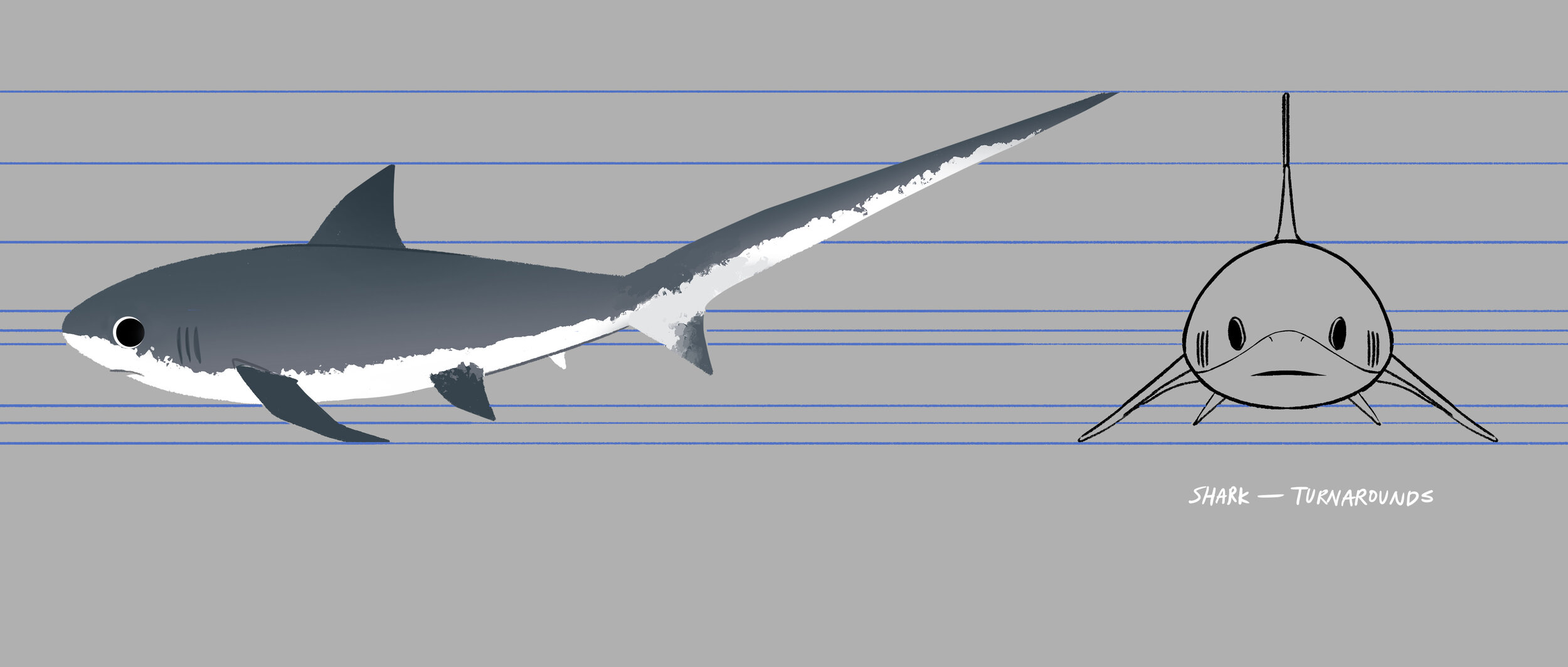 Character_shark_Turnarounds.jpg