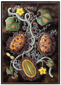 Alyson Baker and Candice Madey curated Madness in Vegetables