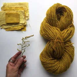 Natural Dye Workshop with Katrina Rodabaugh