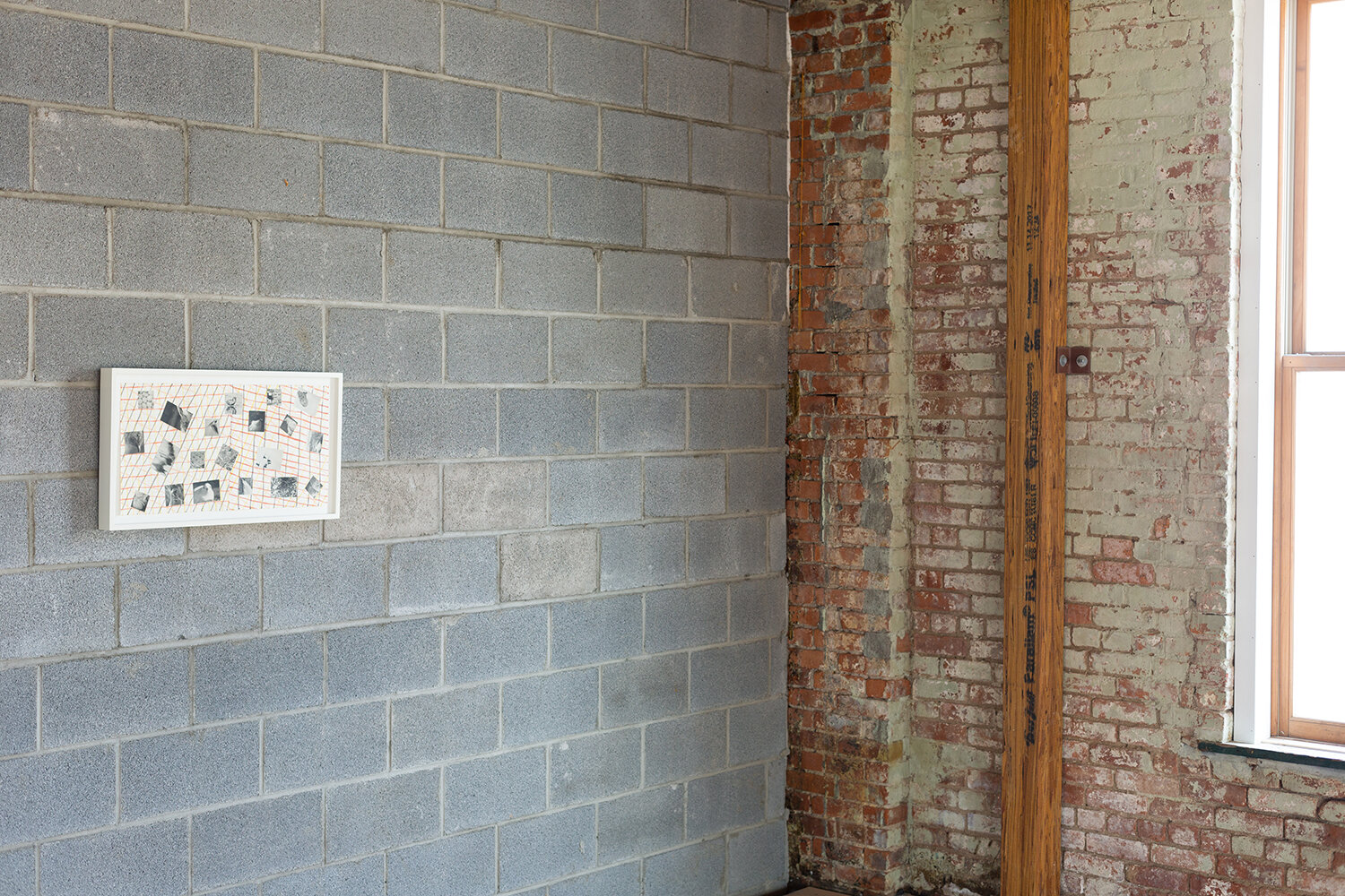 Installation view (Taylor Davis)