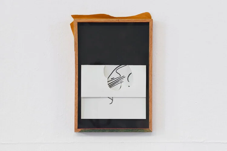 Chris Domenick: Song-shaped Sill