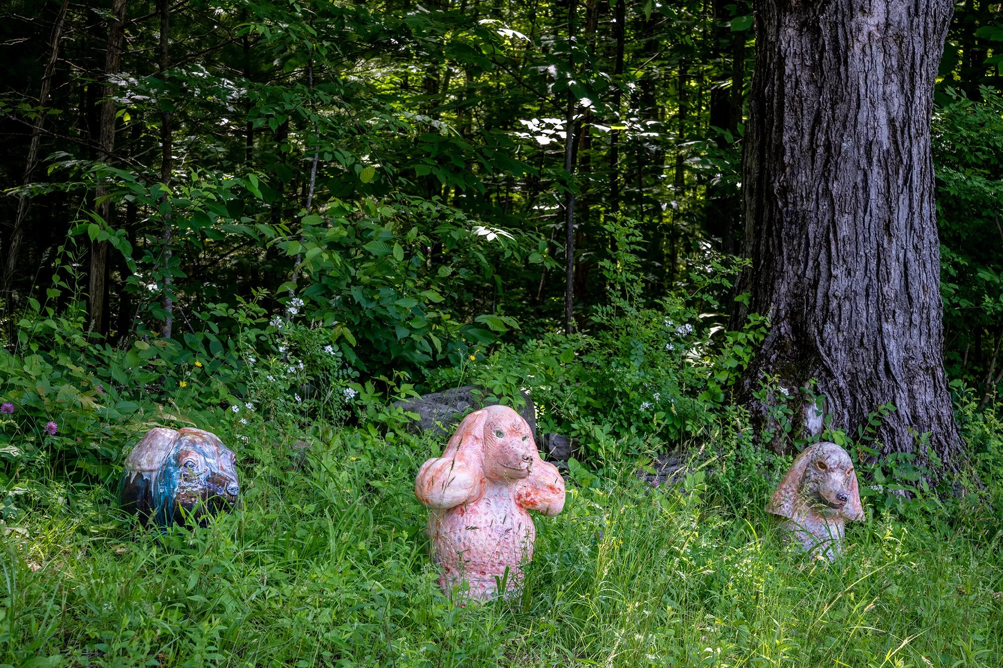 Installation view (Irja Bodén)