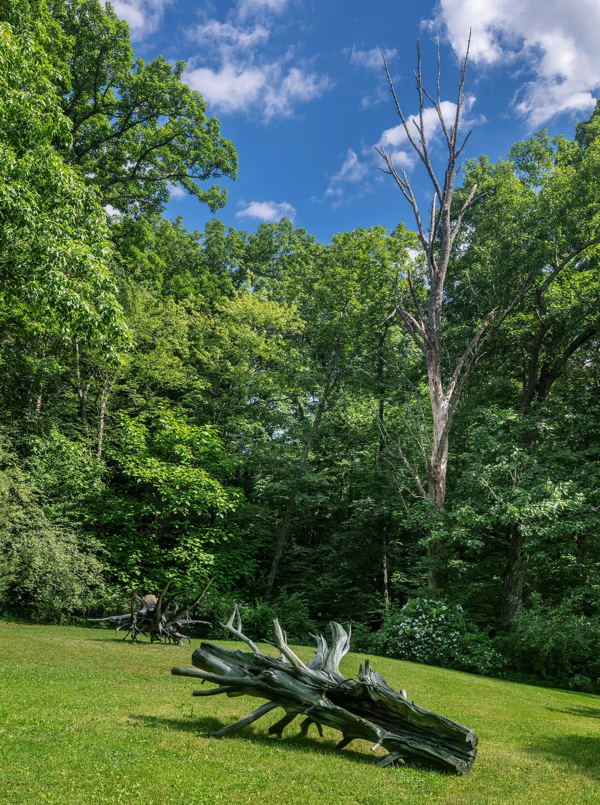 Installation view (Moko Fukuyama)