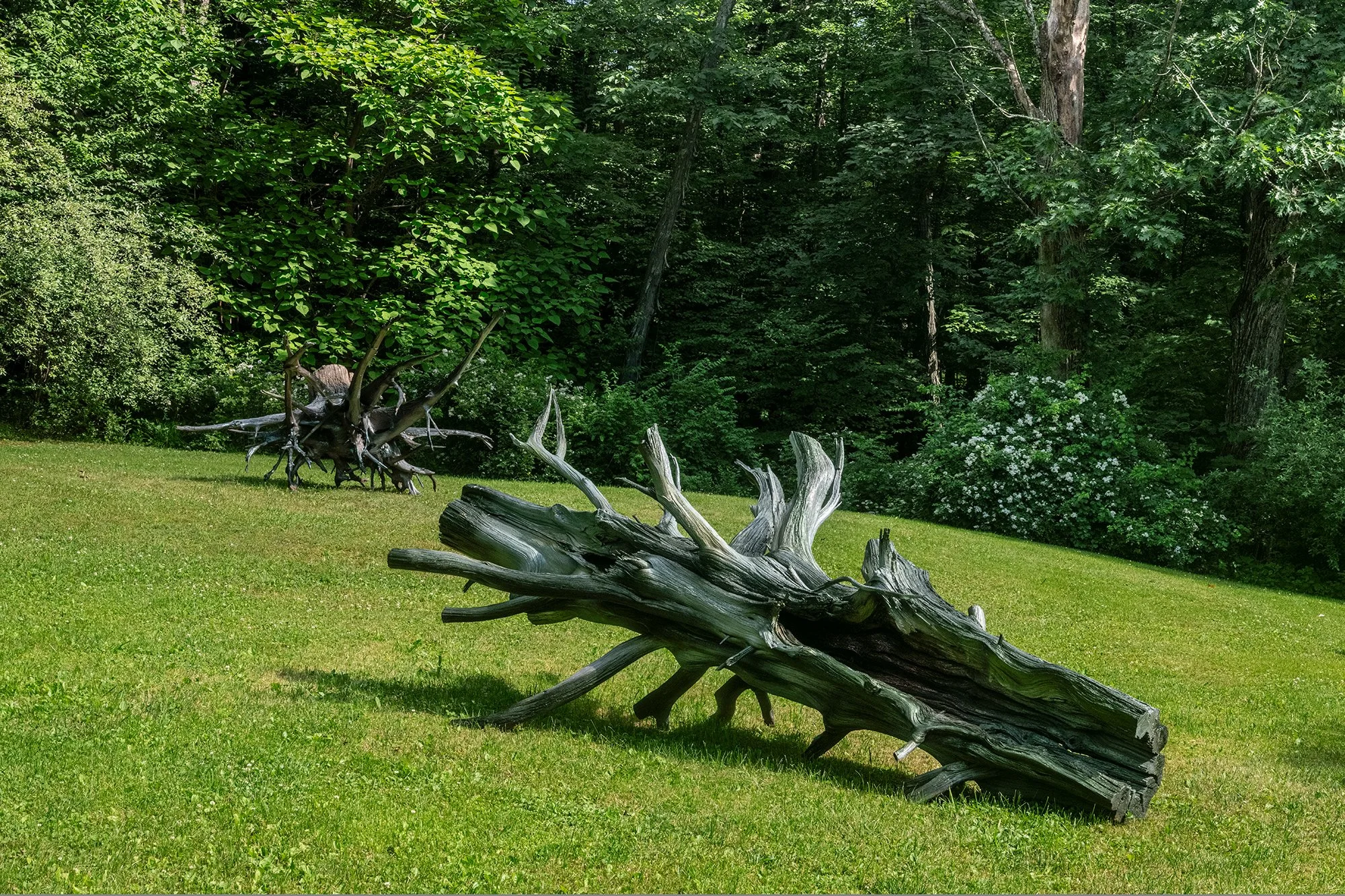 Installation view (Moko Fukuyama)