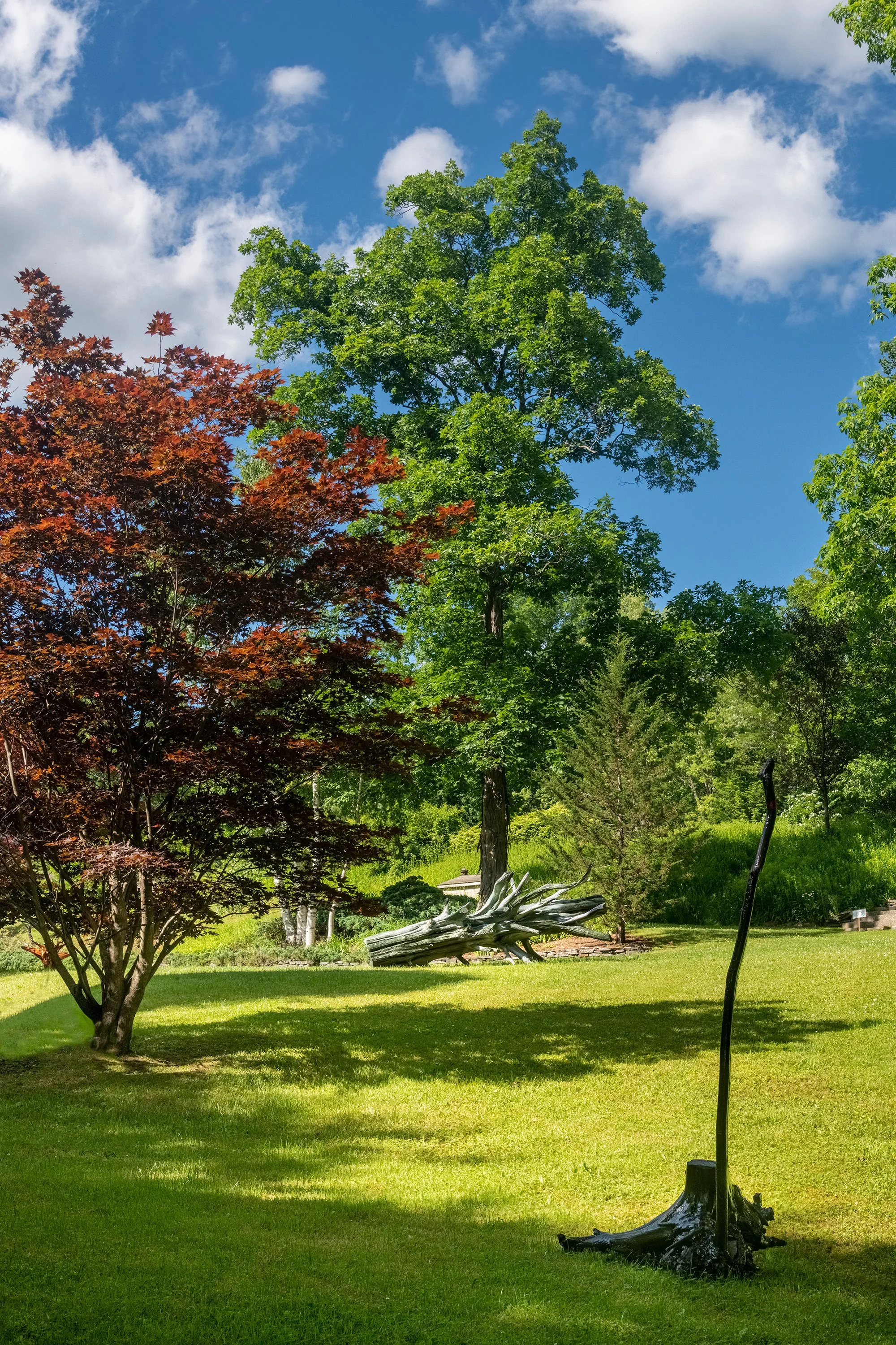 Installation view (Moko Fukuyama)