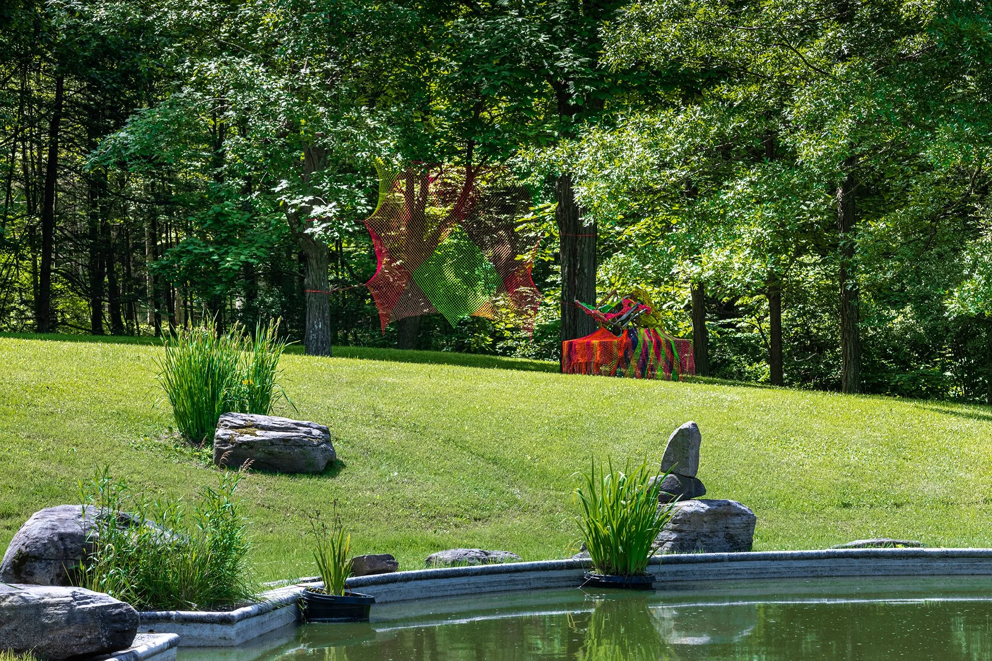 Installation view (Jennifer Zackin)