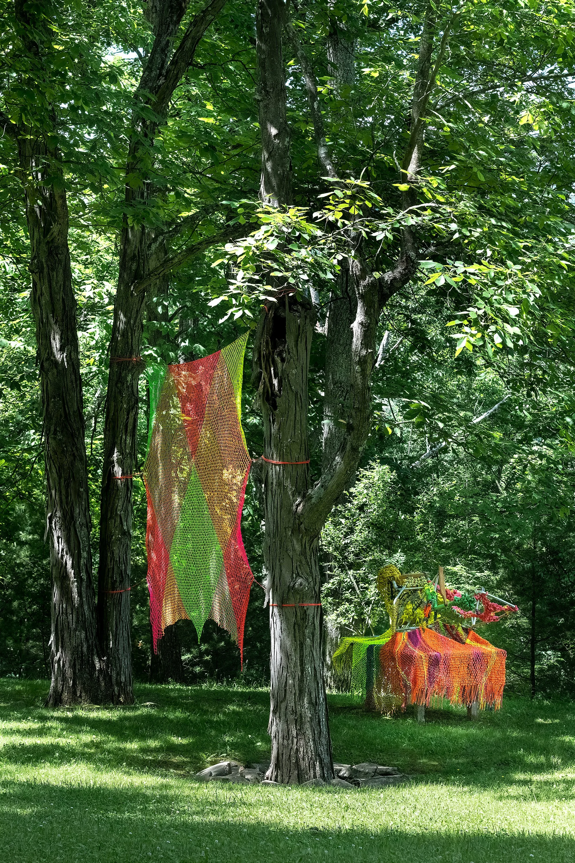 Installation view (Jennifer Zackin)