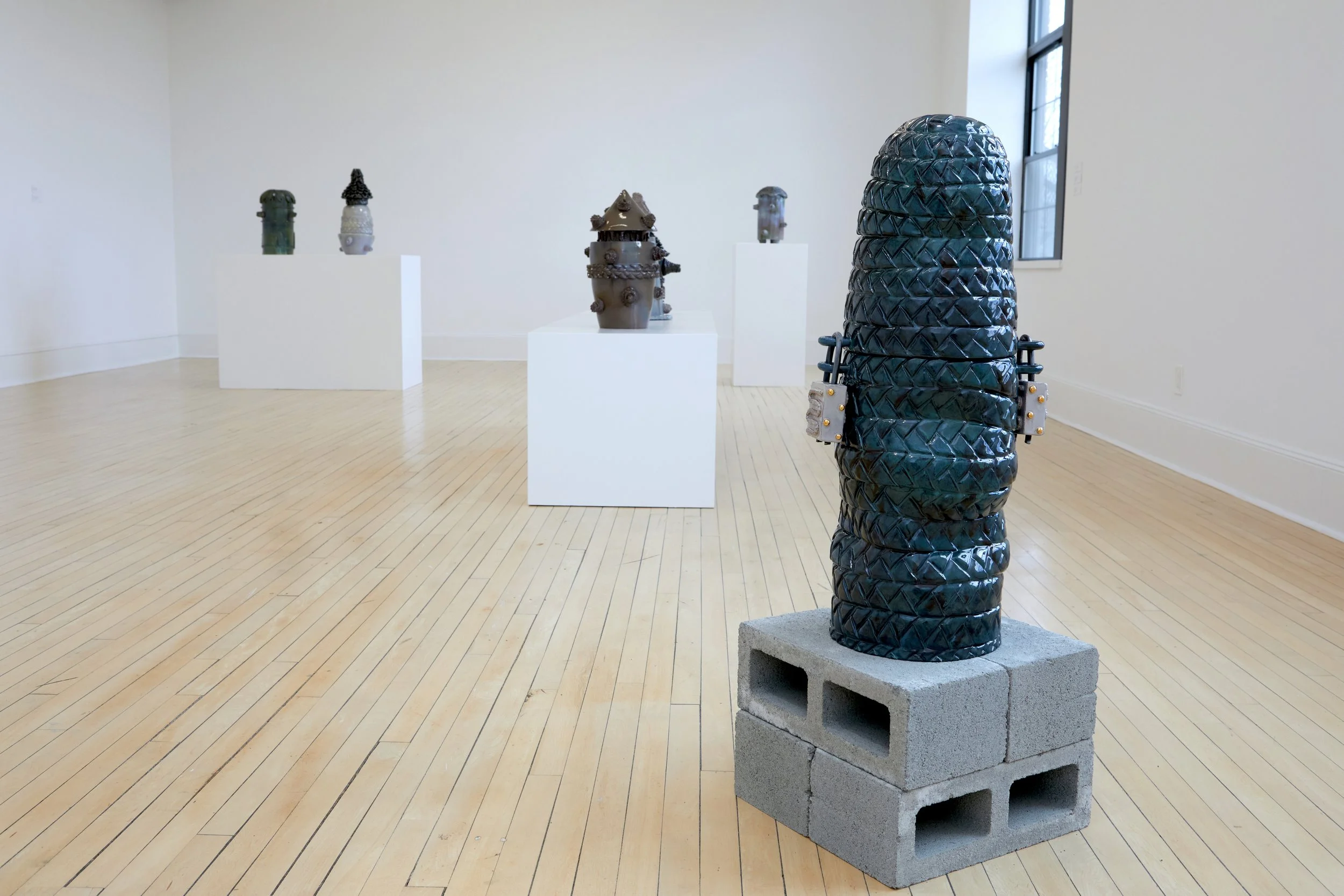 Installation view (Patrice Renee Washington)