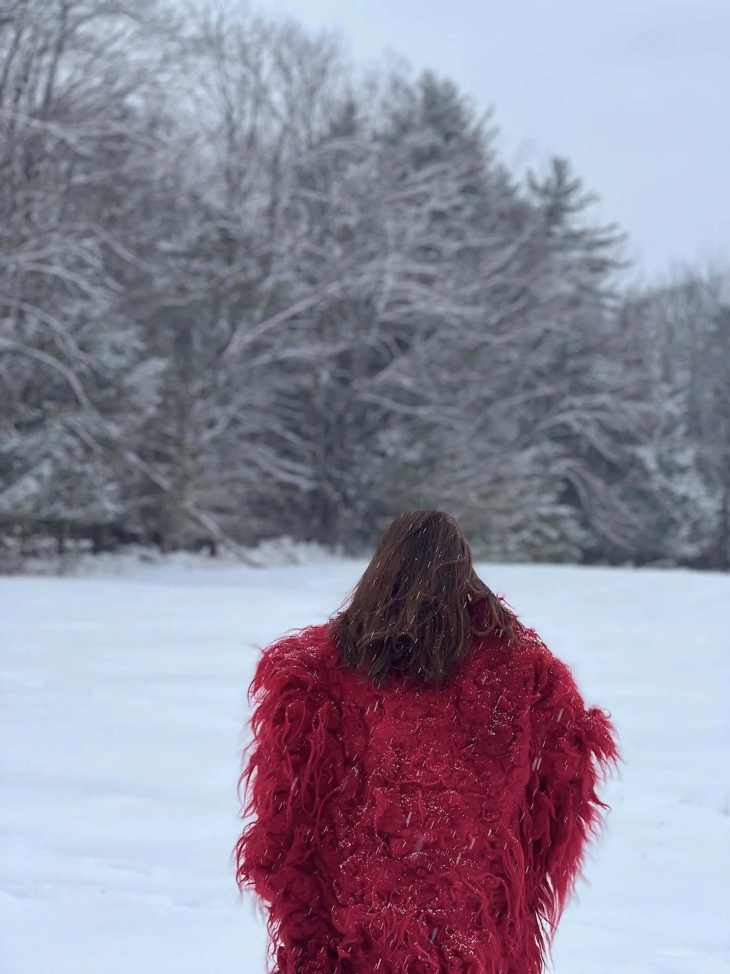 Brigitta Váradi: A cloak of red, slow as a Carpathian rock