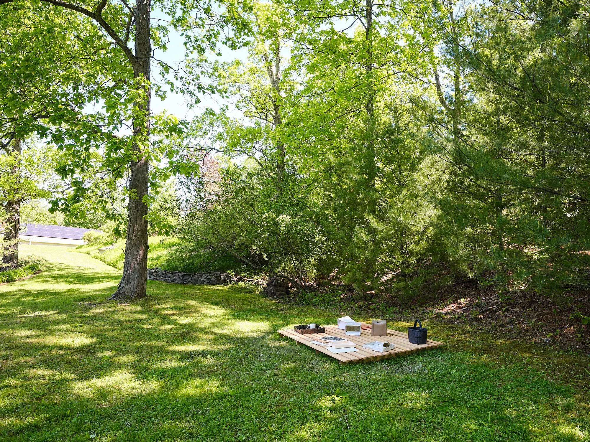 Installation view (Lauren Anderson)
